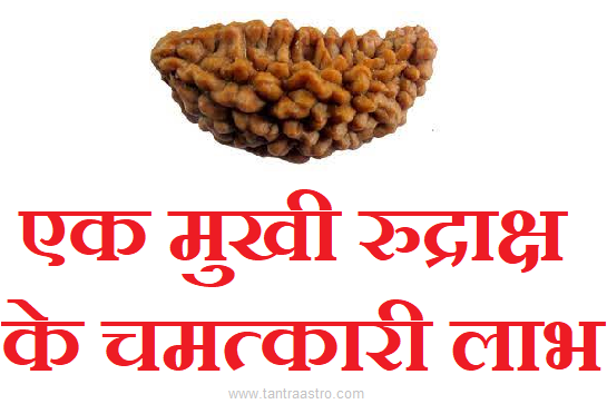 ek-mukhi-rudraksha-tantraastro