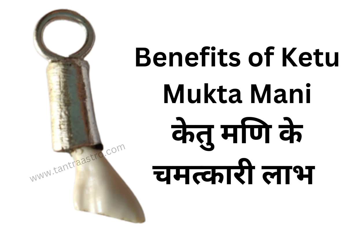 Benefits of Ketu Mukta Mani | केतु मणि के चमत्कारी लाभ | Tantra Astro